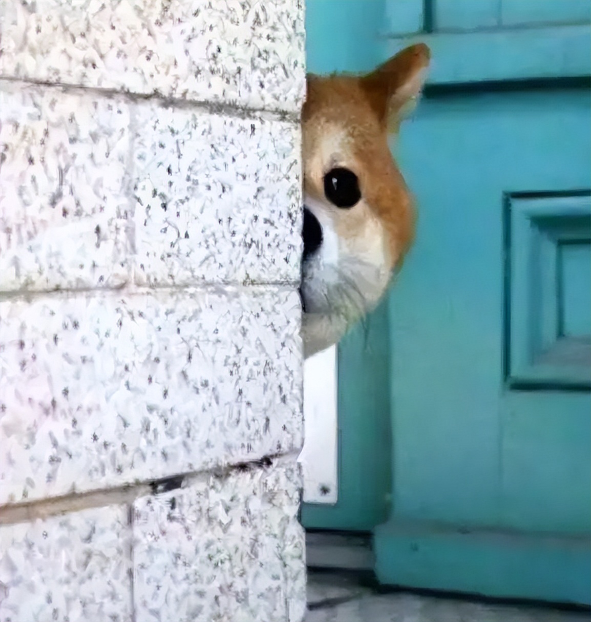 72小时内便宜又好用的避孕药,不用吃药的避孕凝胶