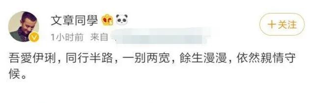 隐忍五年后重拳出击，马伊琍做法堪称教科书，原来她并不简单