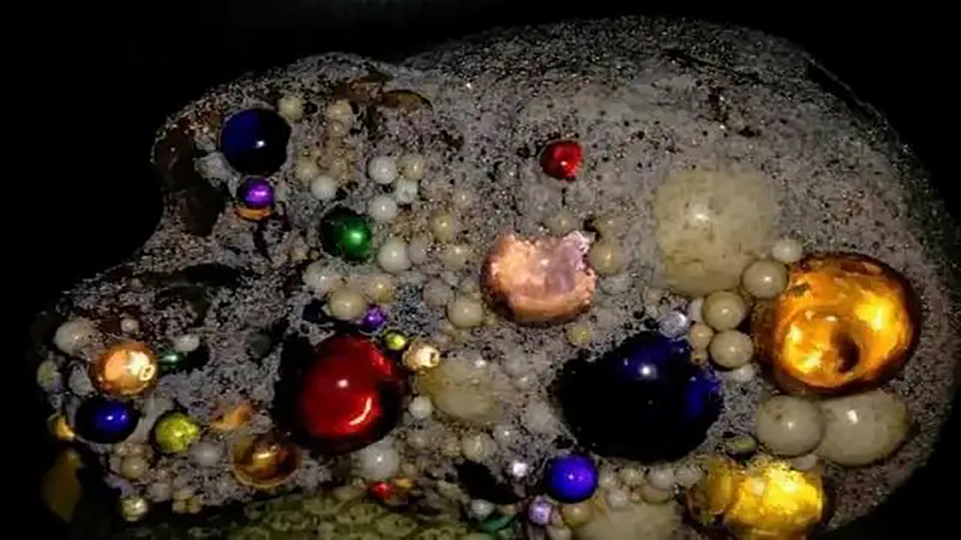 佛祖舍利之谜,佛祖指骨舍利台湾