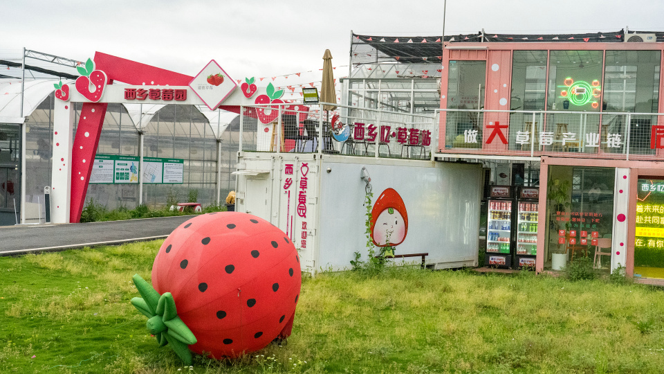建德梅城古镇美食攻略,建德旅游美食
