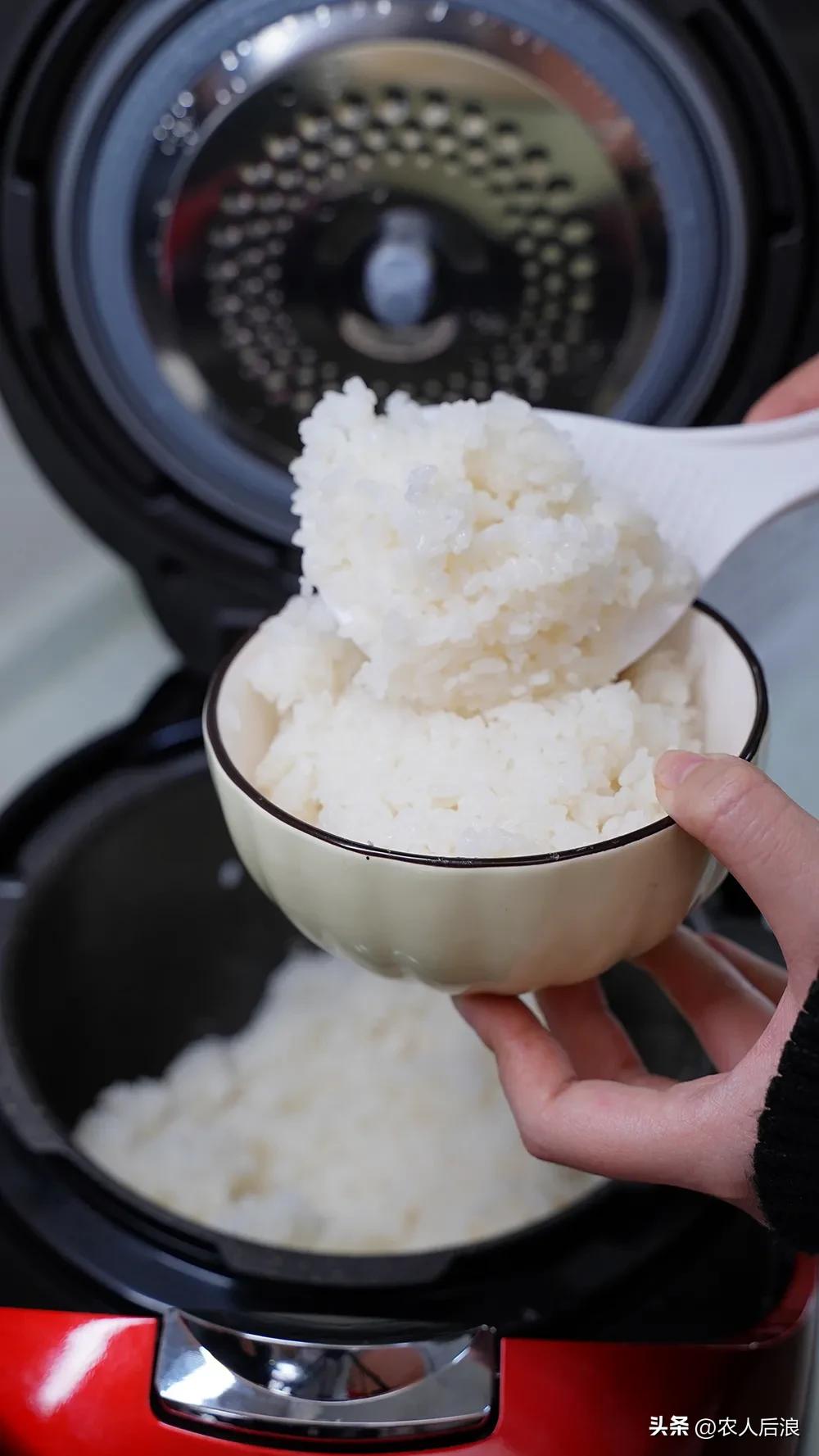 测评电饭煲煮饭好吃,测评电饭煲好吃的