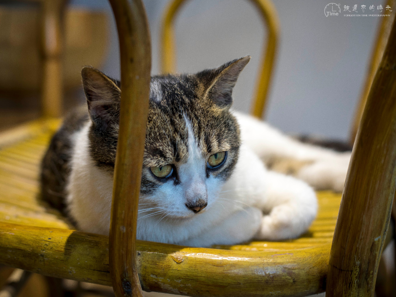 长沙最有特色的咖啡馆在哪里,长沙风景特别好的咖啡馆