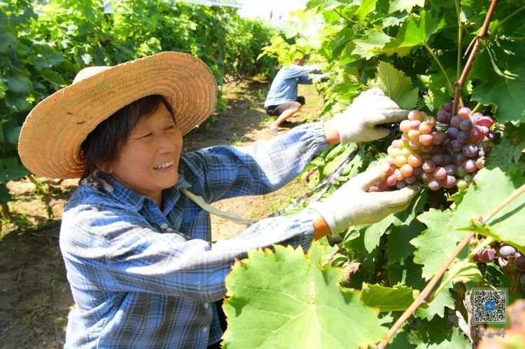 爱上赤峰的十二个理由,爱上镇江100个理由