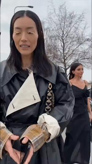 刘雯穿大翅膀走秀视频,刘雯贺聪维密