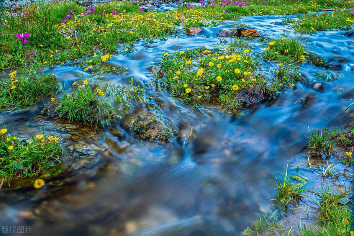 北方避暑旅游城市推荐,必去的避暑之都