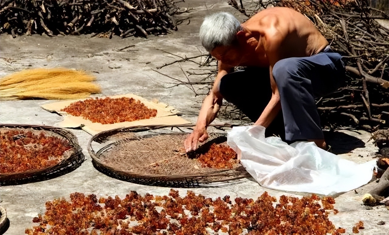 桃胶有什么用怎样吃,桃胶有什么用处能美白吗