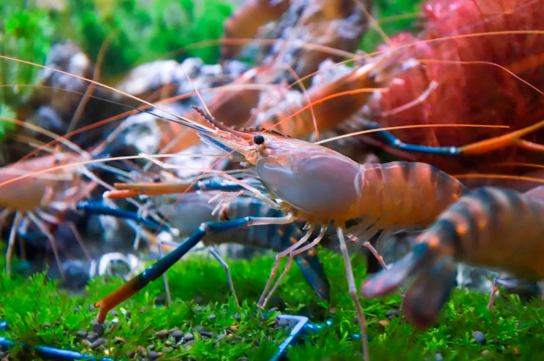 以高质量发展推进肇庆现代化建设,为肇庆高质量发展做出自己努力