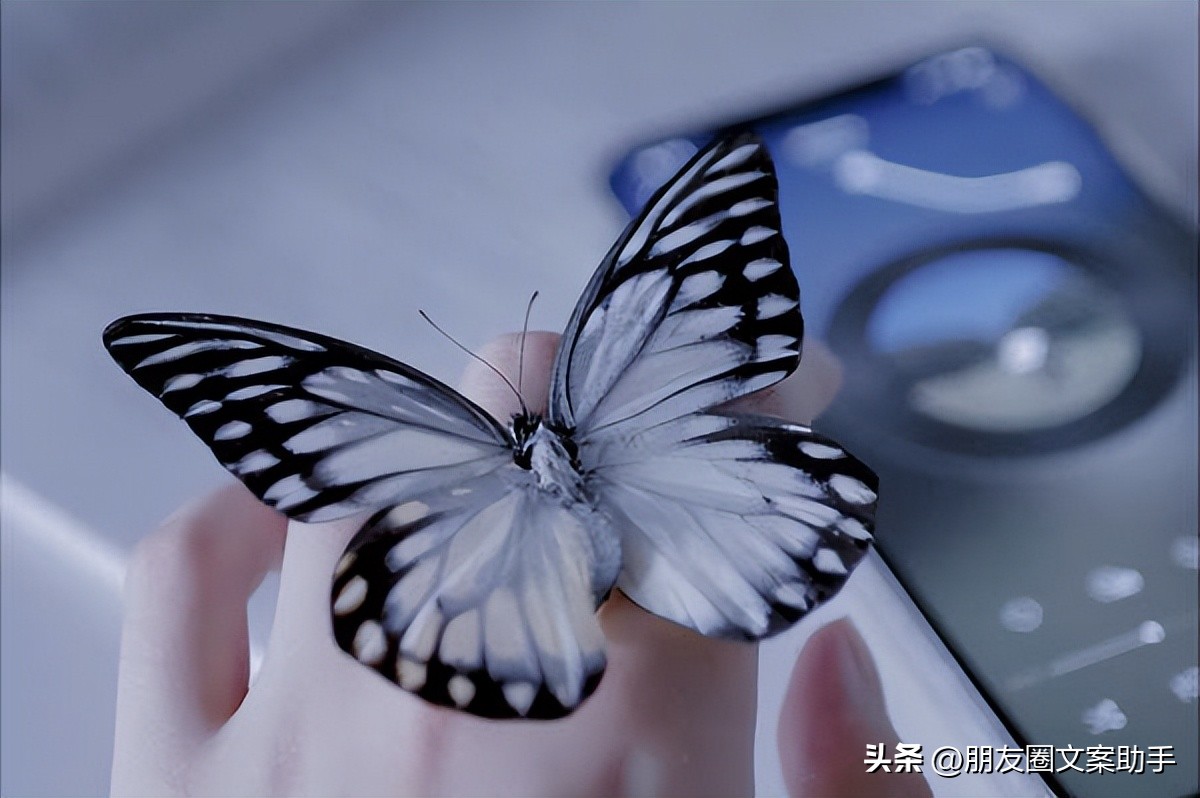 抖音走心夸人漂亮的文案,人品抖音文案简短霸气