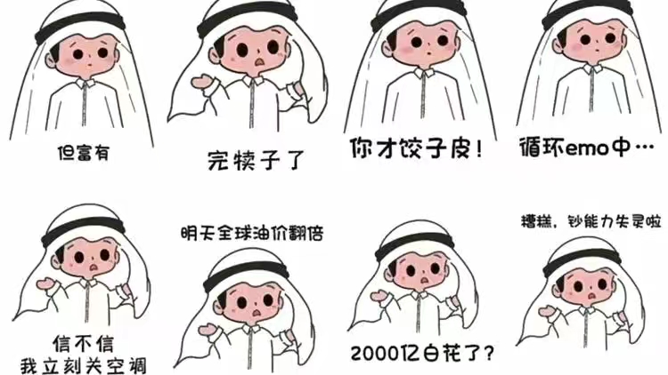 卡塔尔小王子走红涨粉,卡塔尔小王子涨粉速度