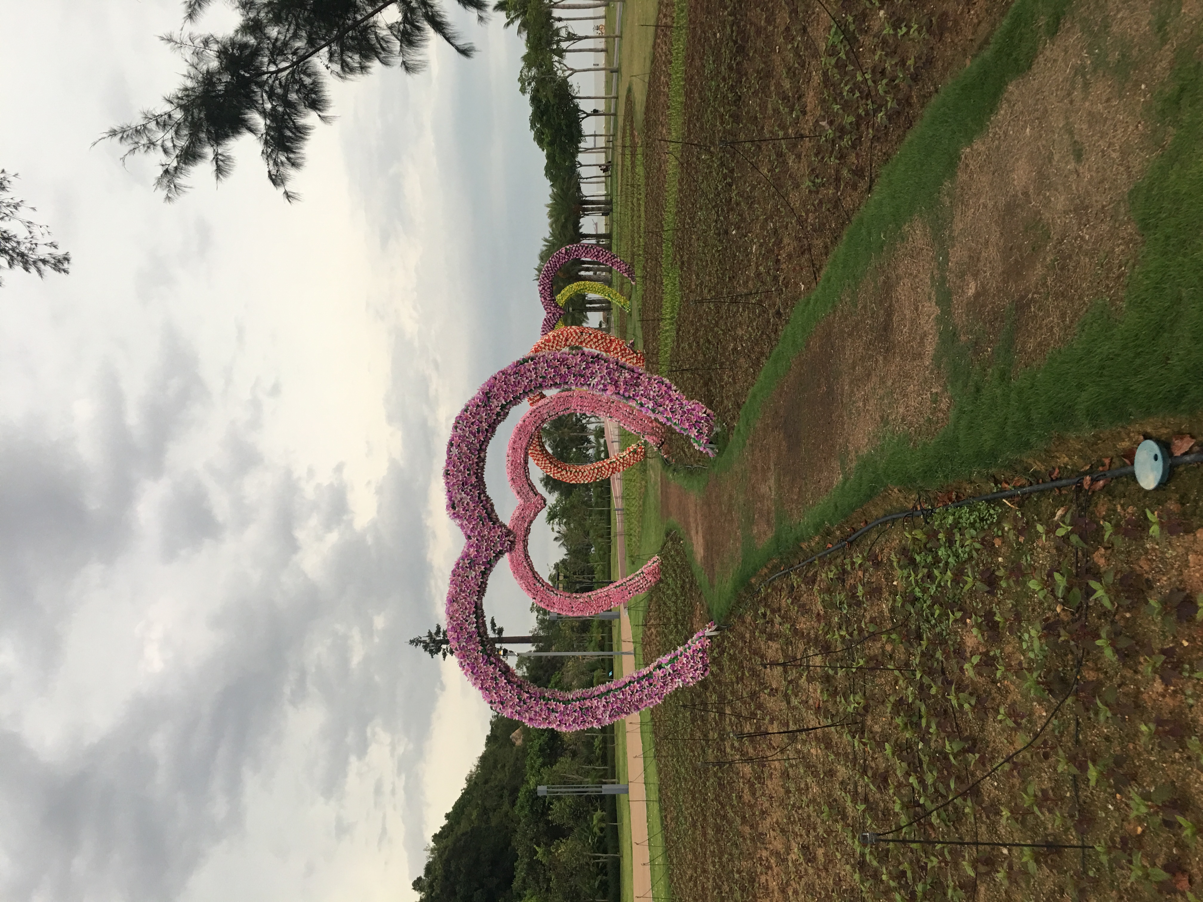 情迷珠海，最美海狸鸟