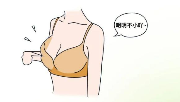 科普内衣的发展史,内衣老跑杯怎么回事