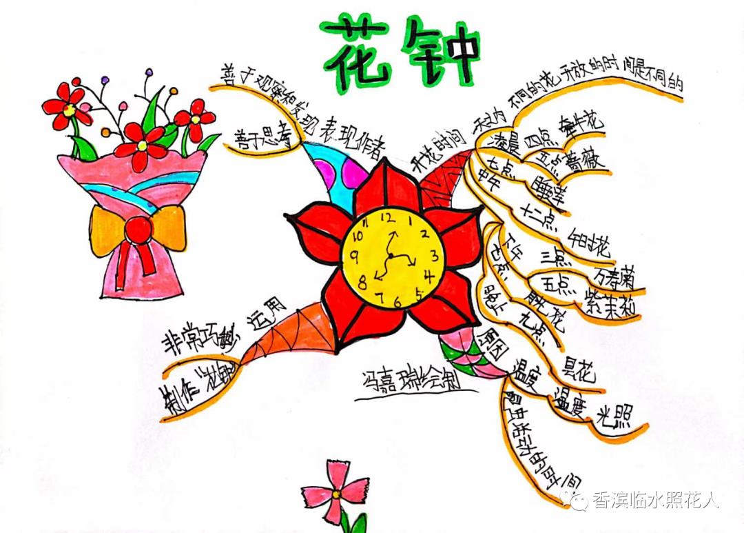三年级下册语文花钟思维导图简单,三年级下册第13课花钟做思维导图