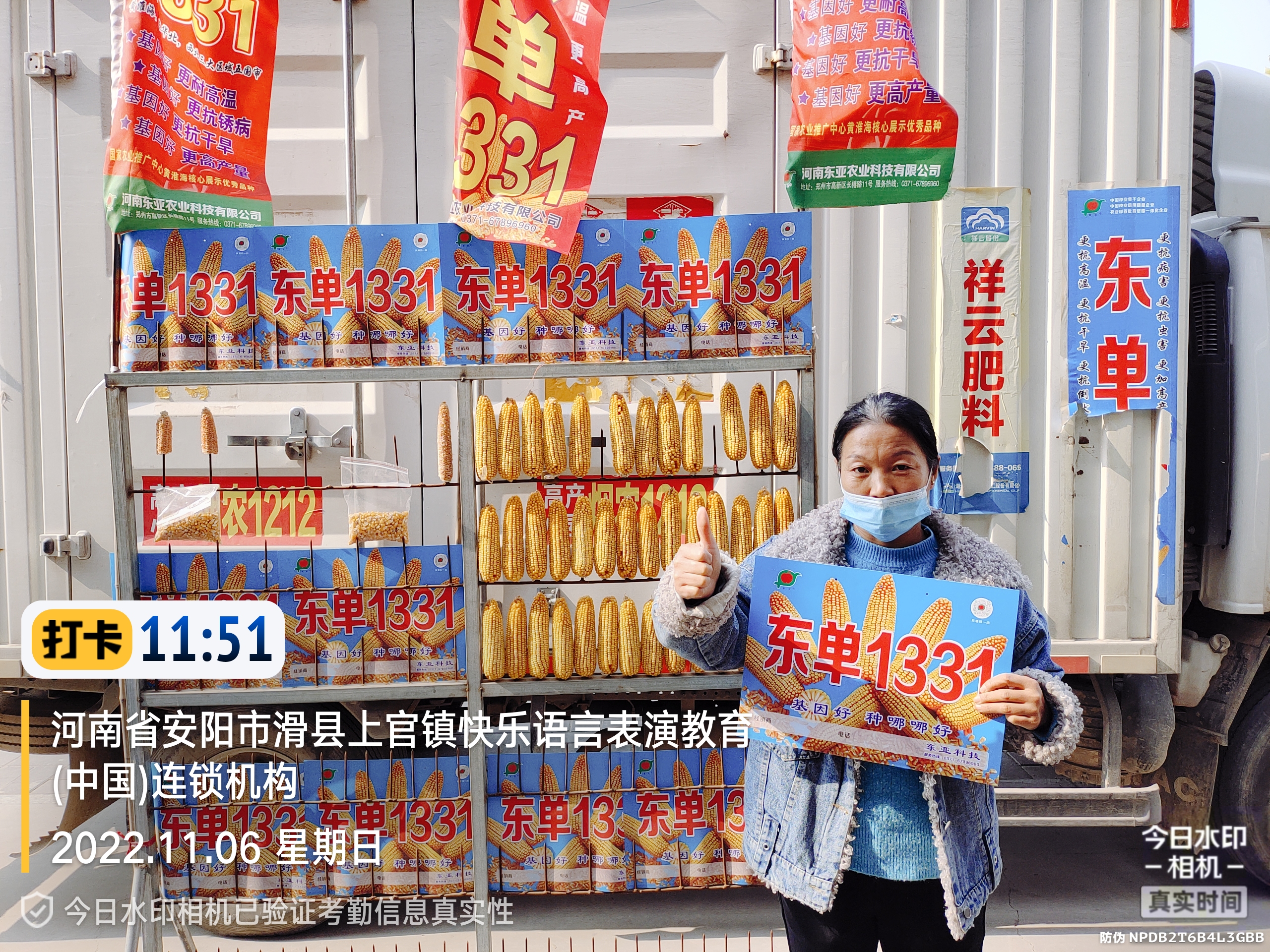 下屯卖玉米种子的怎么分出真假,玉米种子东单1331怎么样辨真假