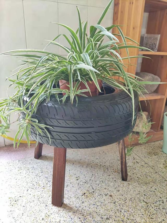 垃圾别丢，顺手改造个“花盆”，一年能省不少钱