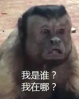 盘点外国人学中文闹出的笑话,外国人在中国学中文的搞笑史