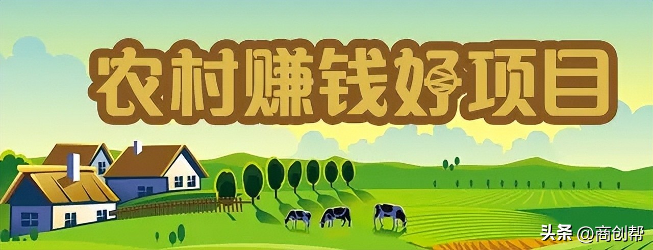 5万回农村做什么生意比较好,三年后回到老家做什么生意好