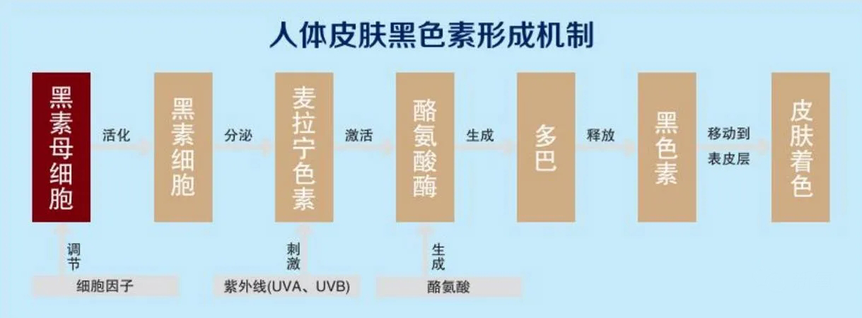 白癜风白斑部位该怎么护理,长白癜风吃什么好得快