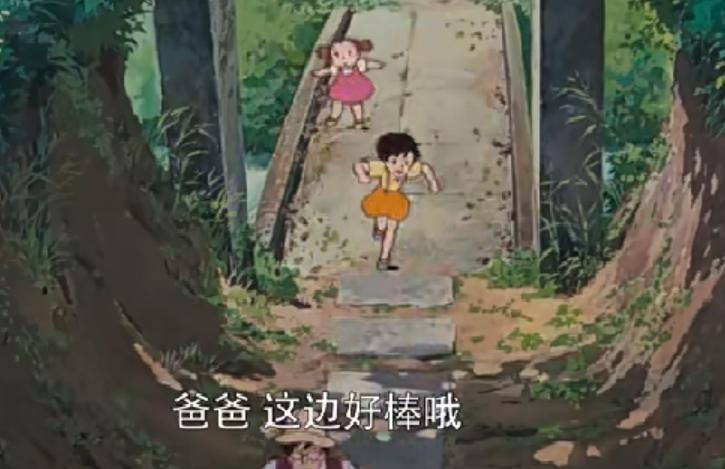 宫崎骏龙猫原型是什么动物,宫崎骏龙猫原型什么颜色