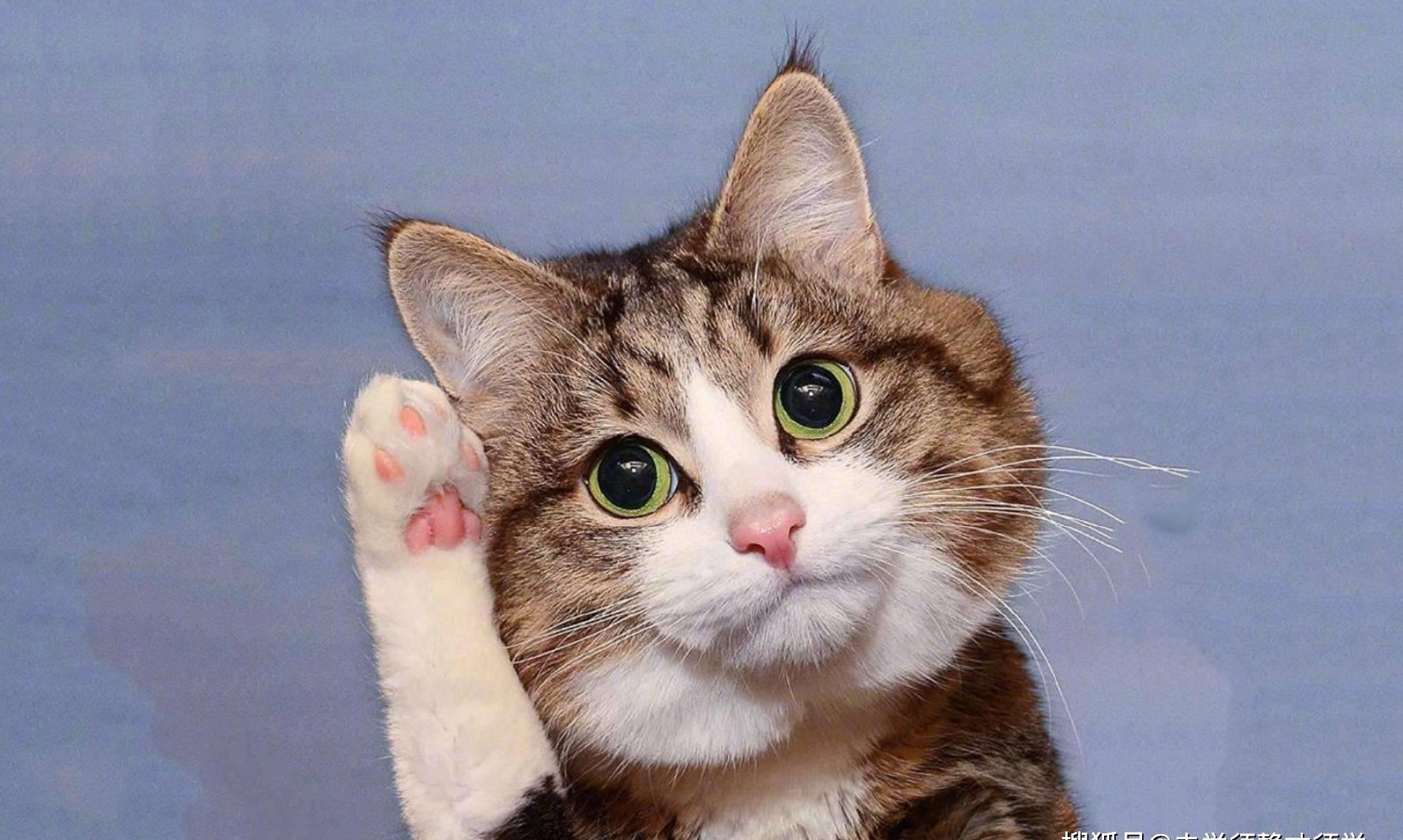 十足惊呆!老公出人意料的举动!