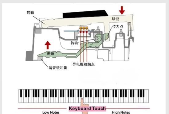 买电钢琴买音色好的品牌,买电钢琴选哪个牌子好