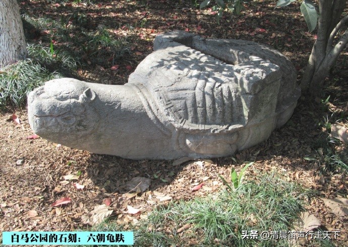 白马公园白马石刻朝代,公园石刻精品欣赏