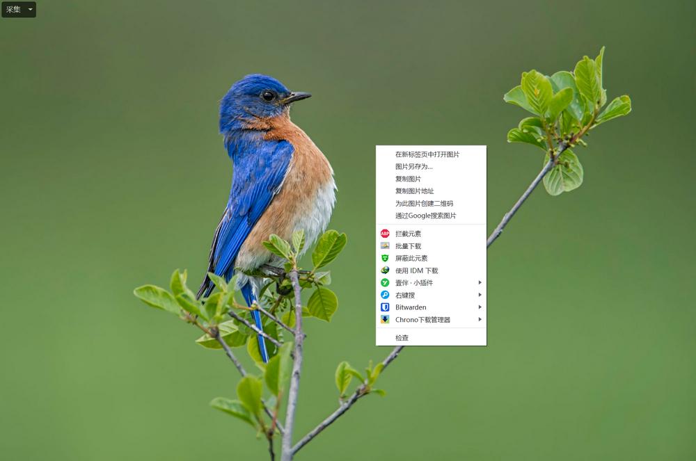 火狐浏览器必备插件,seo浏览器必备插件