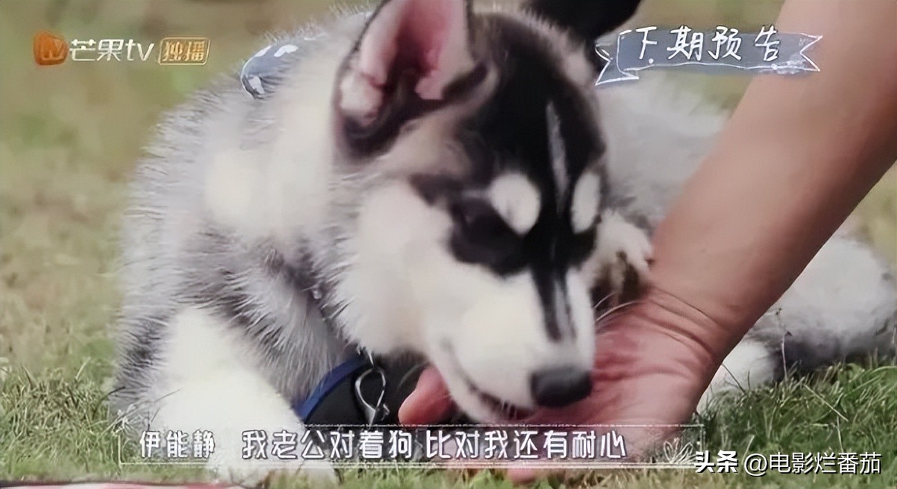 秦昊伊能静声明,秦昊伊能静最新爆料