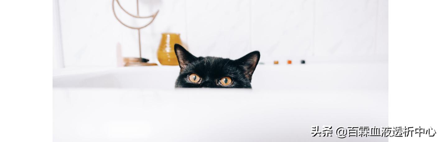 尿毒症透析病人失眠怎么办,腹膜透析失眠是怎么回事