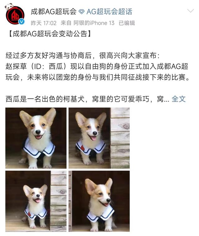 ag转会最新官宣消息主播们反应,ag官博