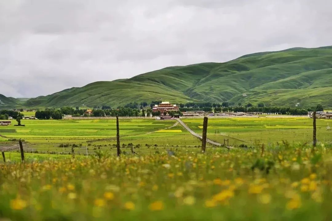我们赞美四川70年发展变化,真正的四川现状