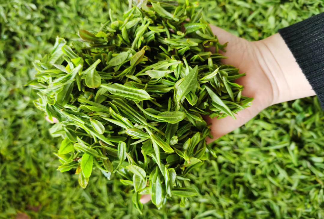 逛吃逛吃歌曲,逛吃逛吃