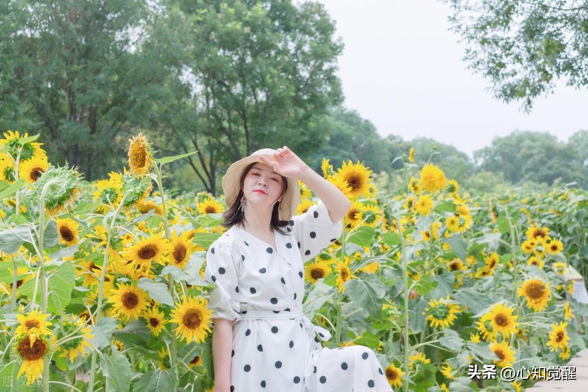 当能力不足时用加班去弥补,弥补不足提升自我能力的名言