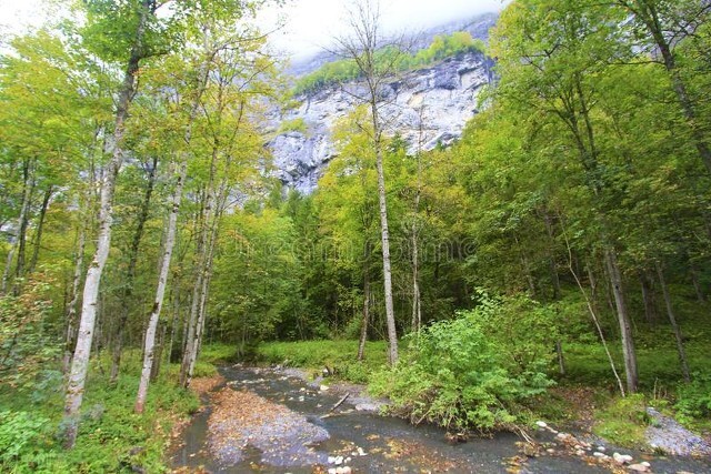 我的一天优秀作文,我的别样童年优秀作文