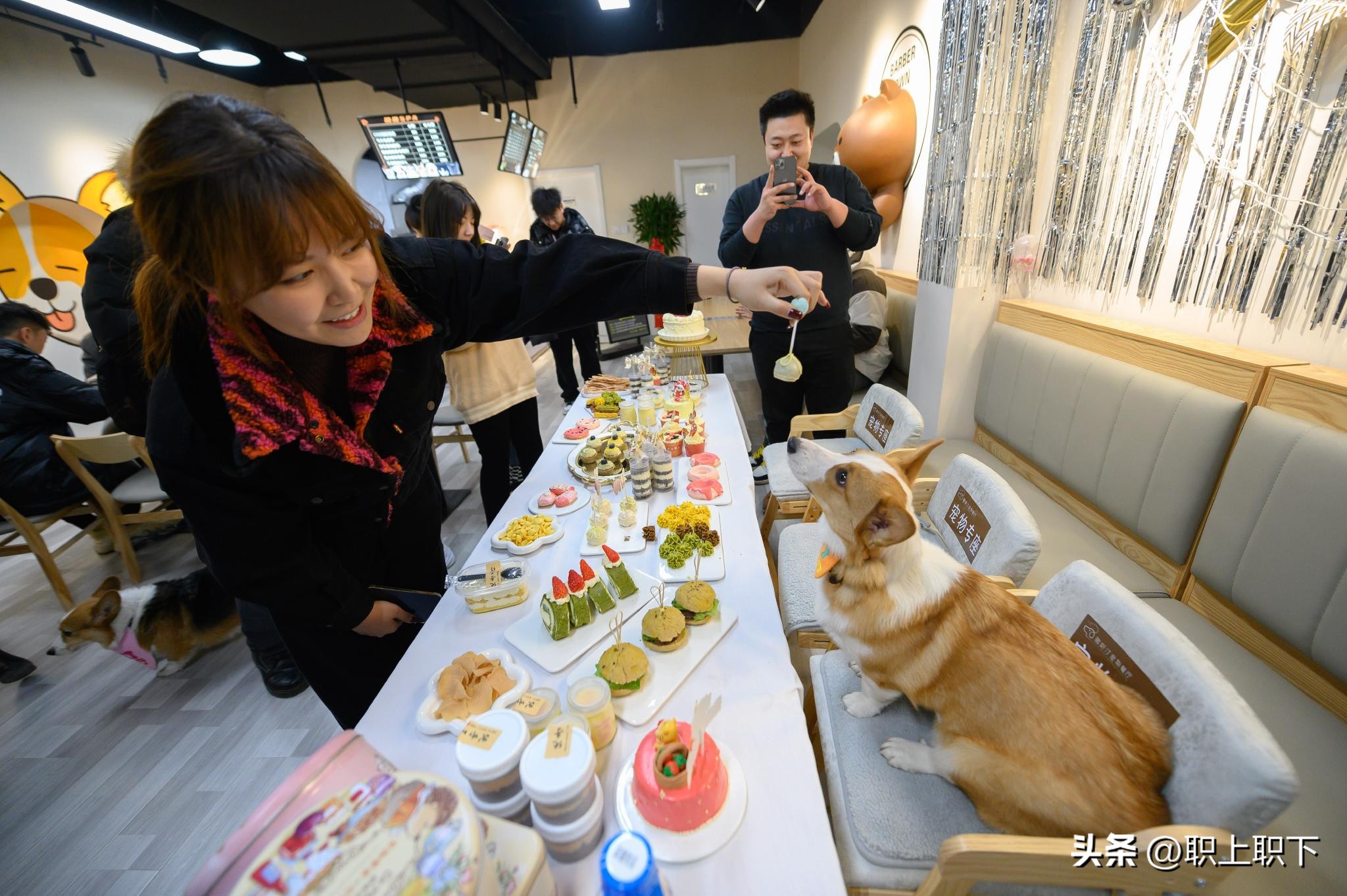 专科生出路及前景,专科生最好的几条出路