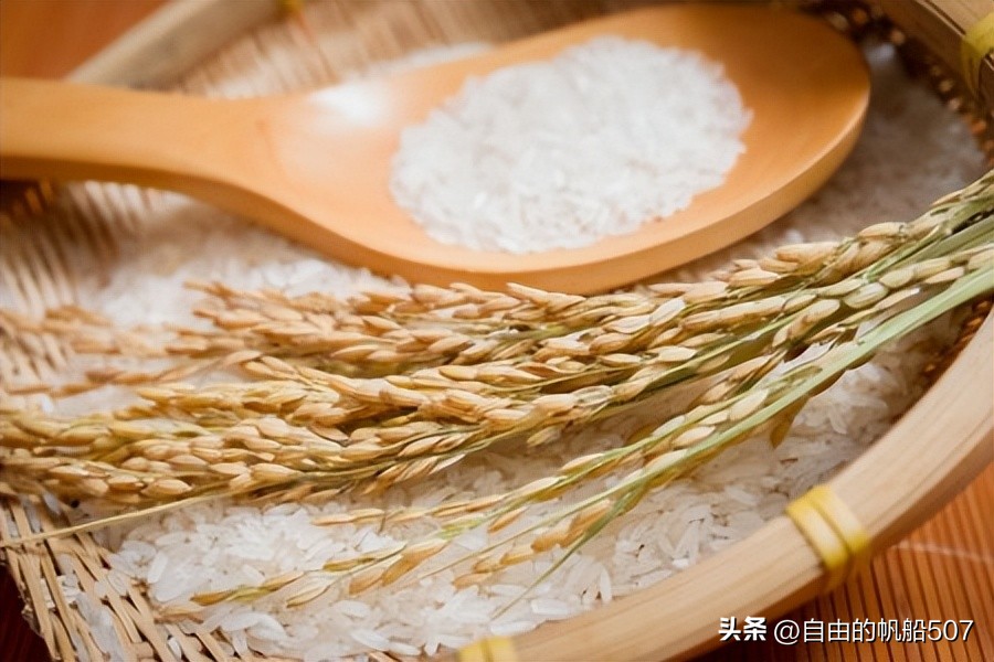 松原市前郭县蒙古族自治县,辽宁省松原市前郭县