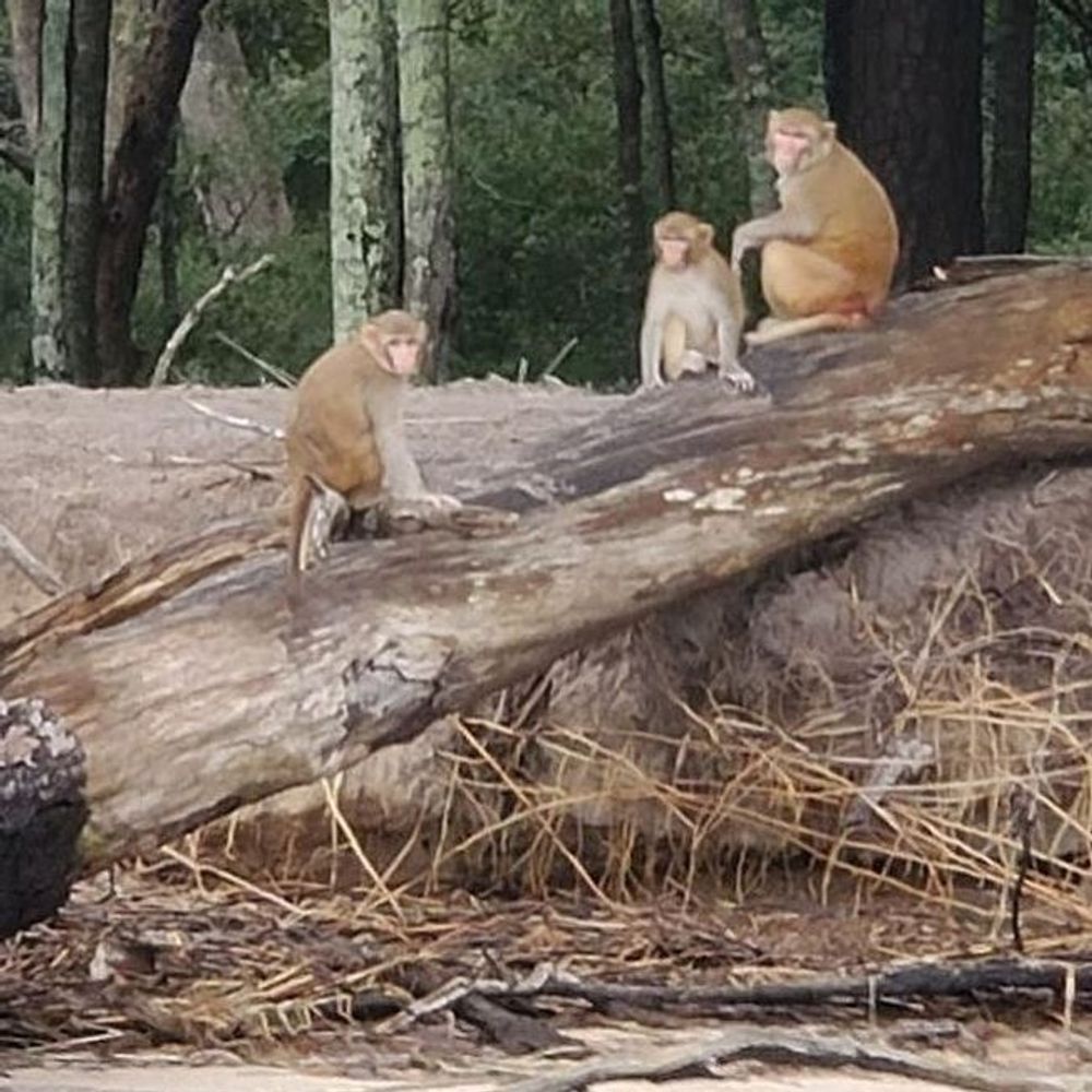 世界上不能去的十大禁地,世界上恐怖的禁止旅游禁地