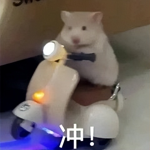 逛完小米直播间，我还以为我穿越了