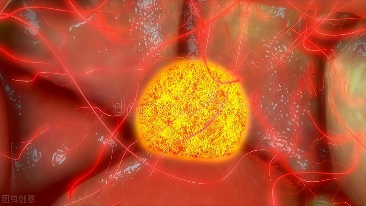 有发育卵泡是不是就能受孕,不孕不育知识讲解