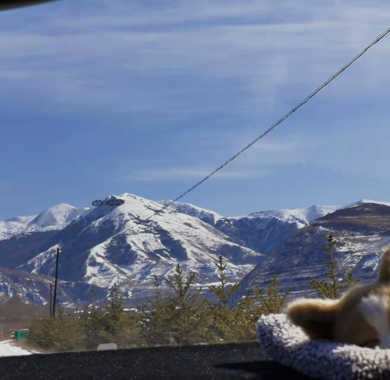 杜甫最有名的十首诗绝句,诗圣杜甫写的七言绝句