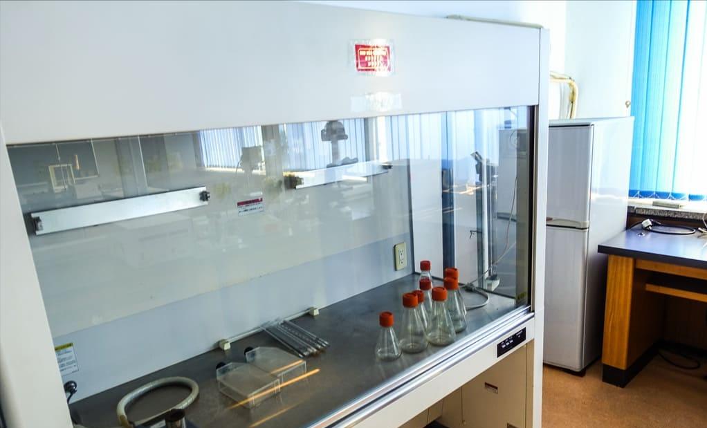 朝鲜最顶尖的高中生,朝鲜顶尖高中