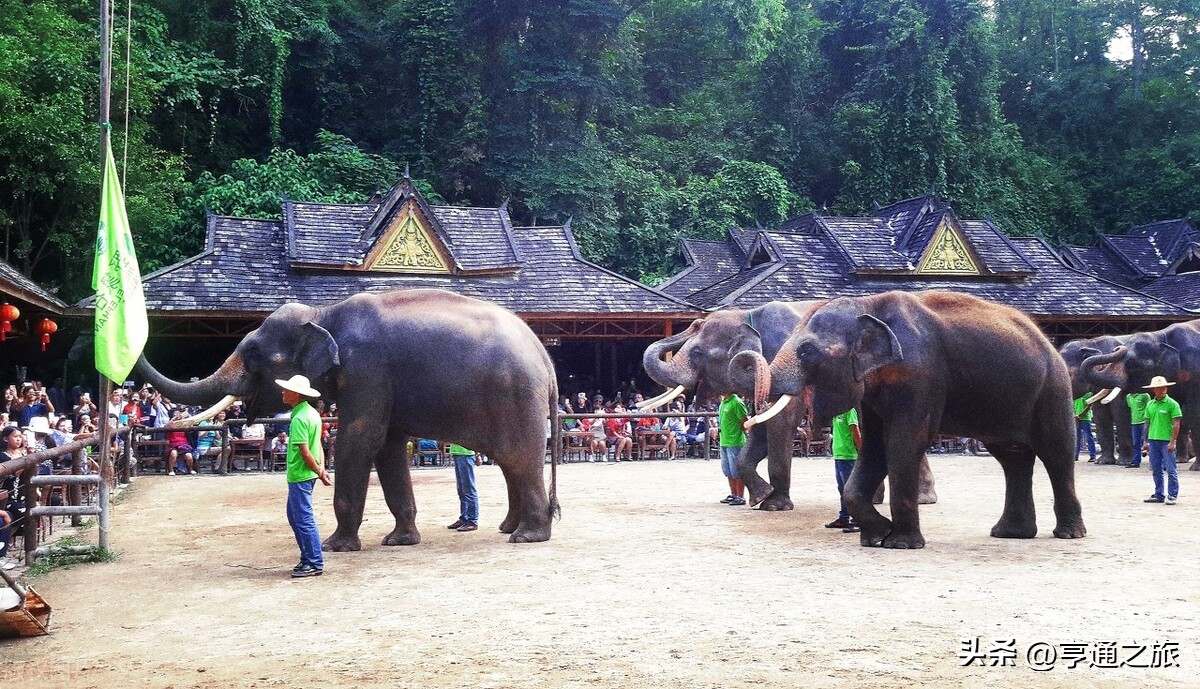 泰国团队机票，去泰国清迈5日游攻略，团队机票推荐