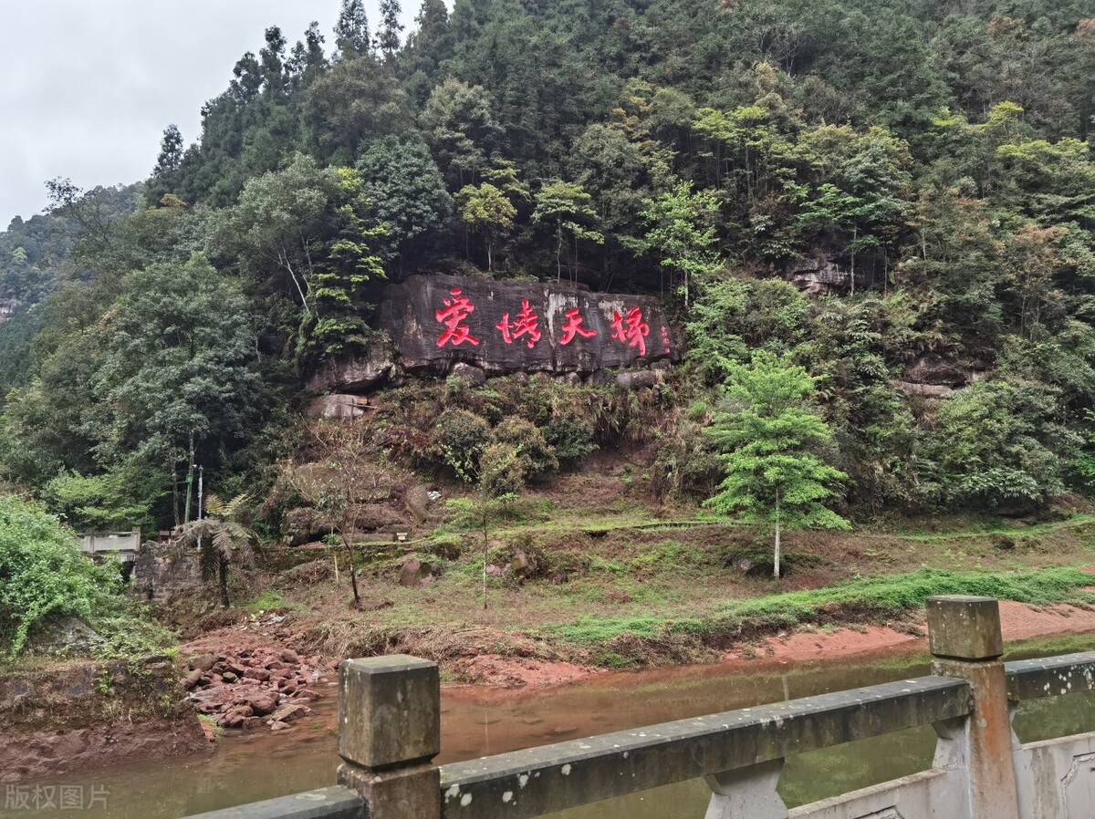 重庆真实爱情故事,关于一对老人的真实爱情故事