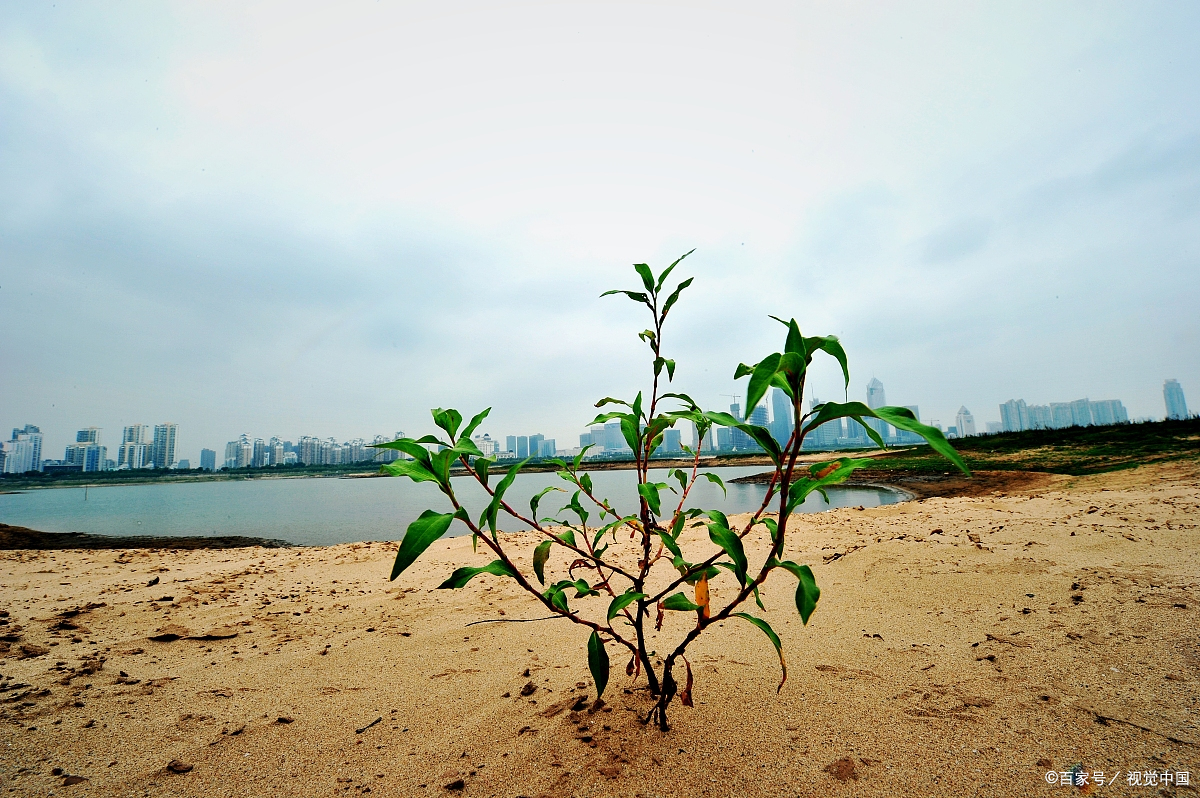 算八字要多少钱合理,请人看个八字大概多少钱