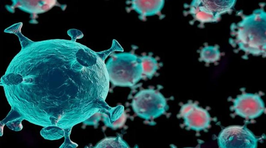 印度廉价新冠特效药,印度新冠特效药最新消息