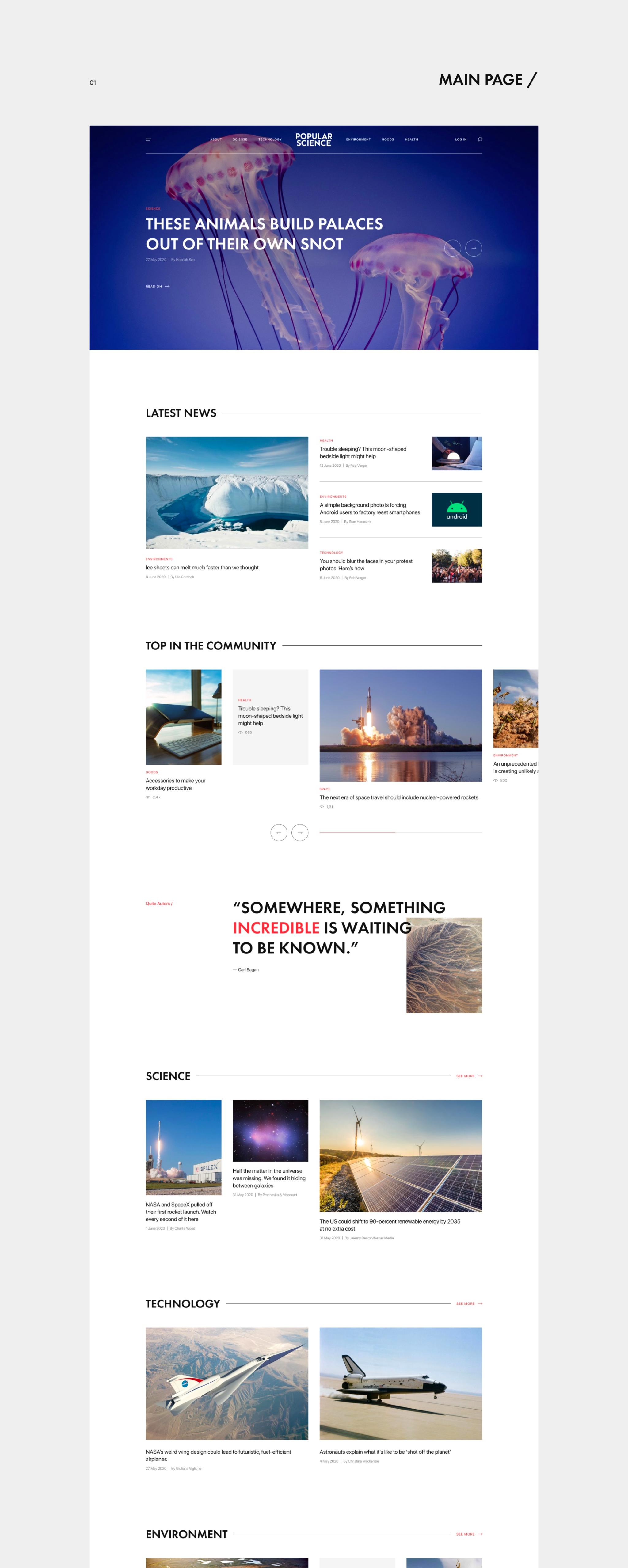 网站设计系统开发方案,定制化网站开发制作方案