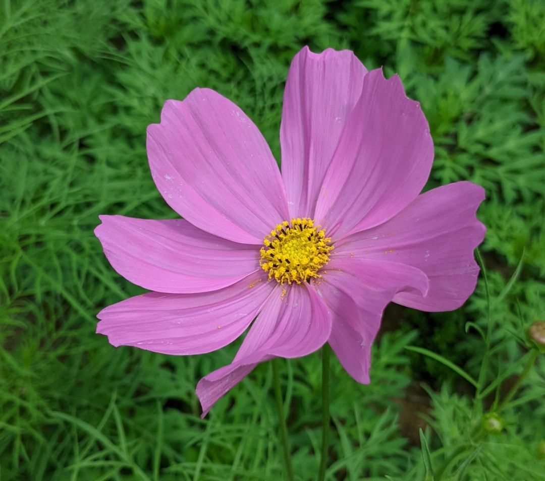 人喜欢独处的真实原因,为什么越来越厉害的人越喜欢独处