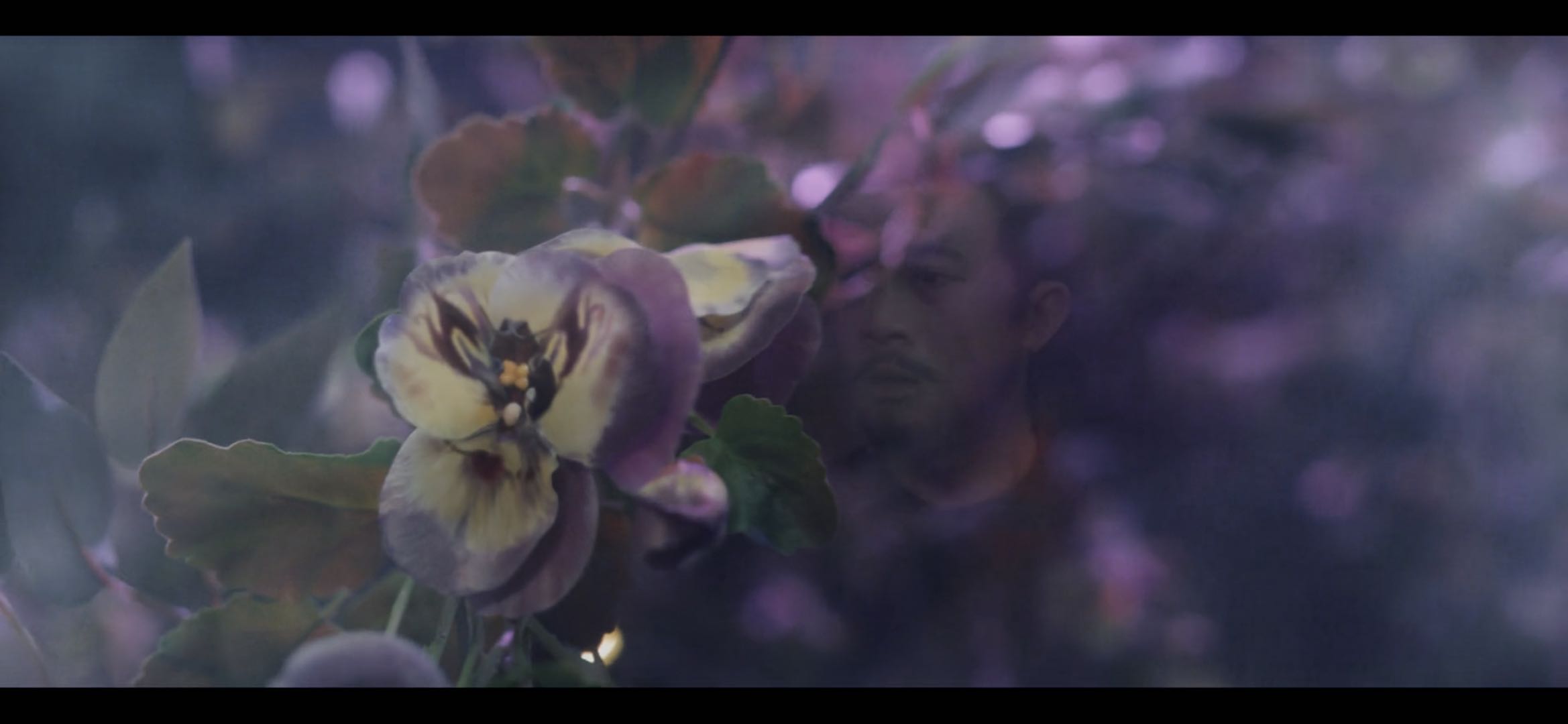 唐朝诡事录什么时候第二季,唐朝诡事录第一季第16集