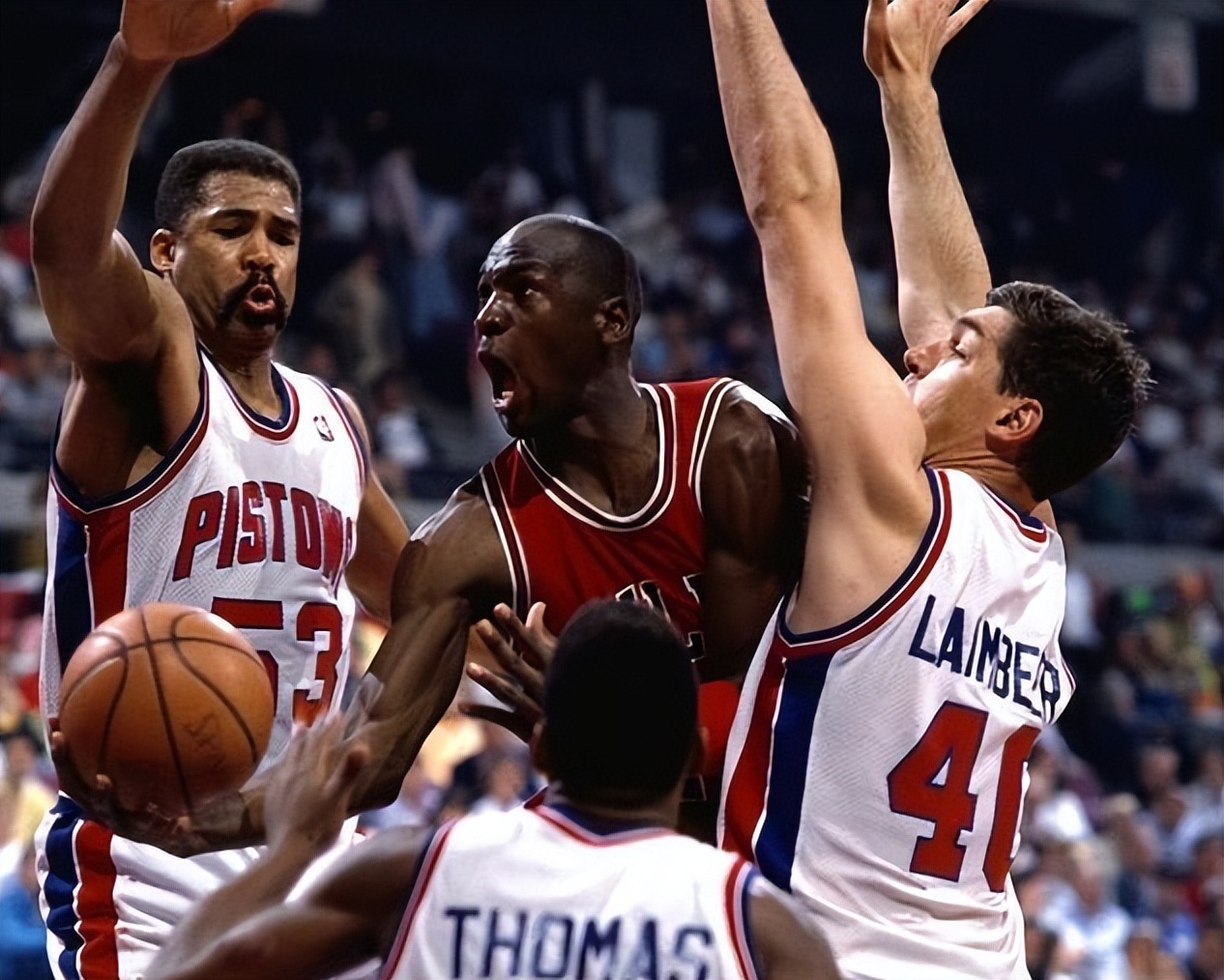 乔丹苦主,公牛的苦主乔丹