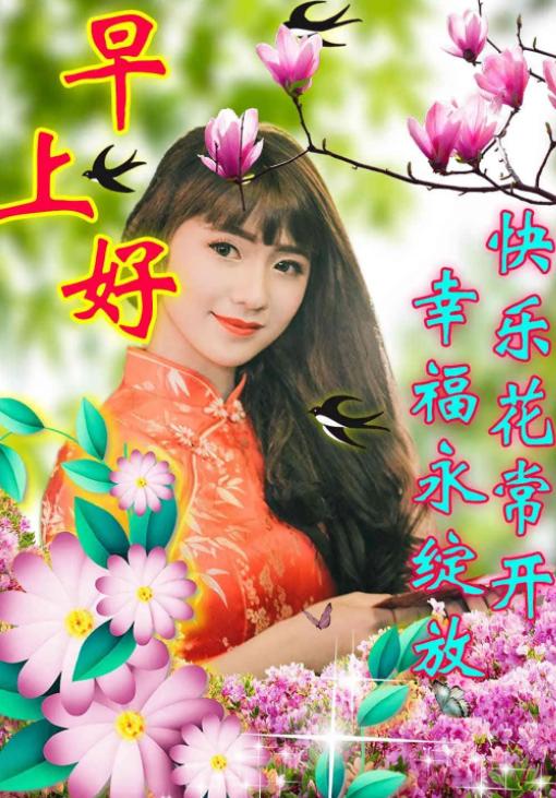 新的一周早安正能量句子图文,早安语录大全图文