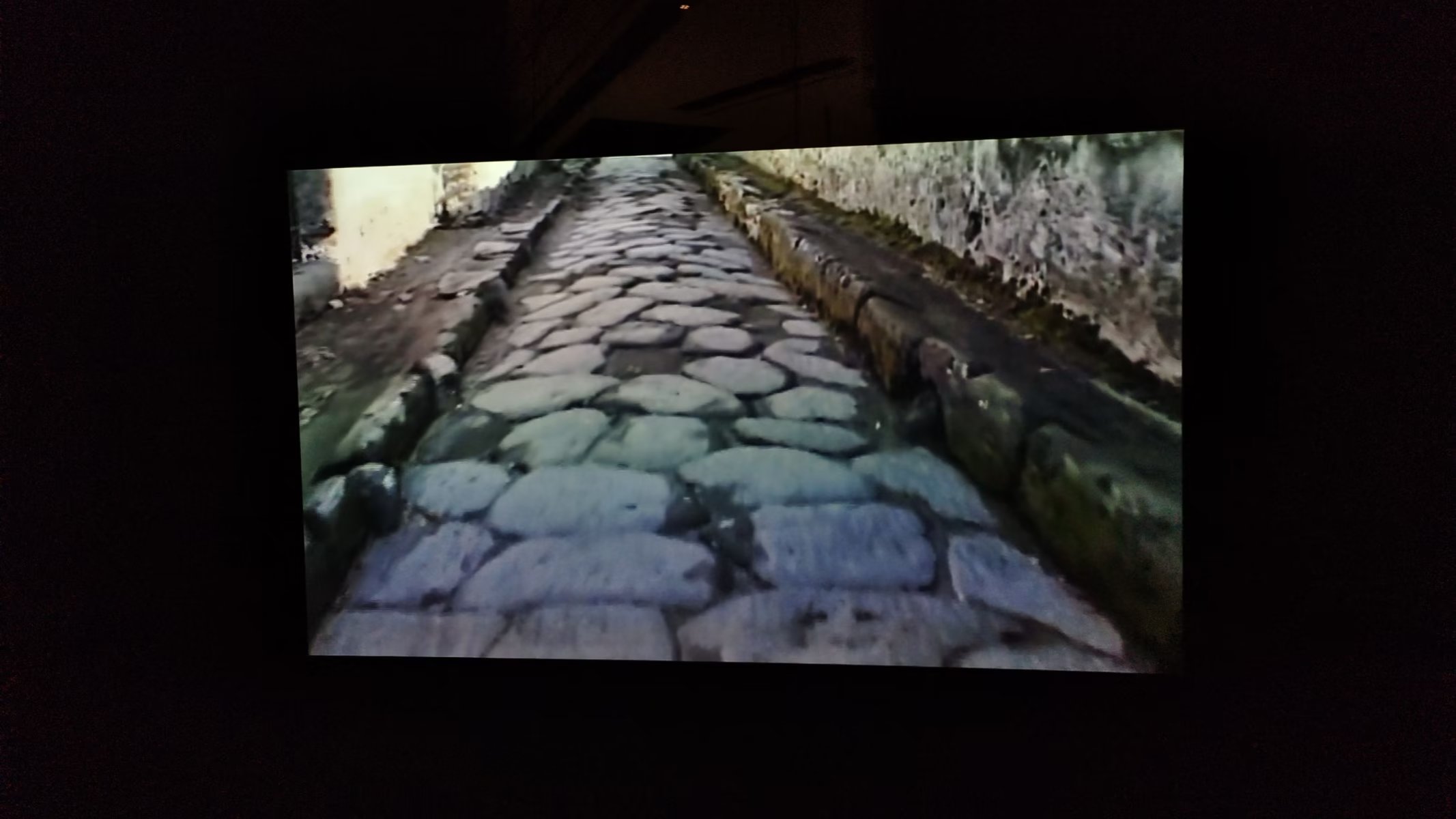 研学上海旅游攻略,上海研学旅行攻略